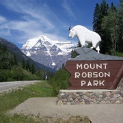Watching Bears Along Sea-To-Sky Highway, Canada