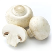 Common Mushrooms