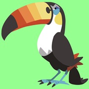 Toucannon