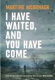 I Have Waited and You Have Come (Martine Mcdonagh)