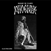 Phoenix - Mugur De Fluier