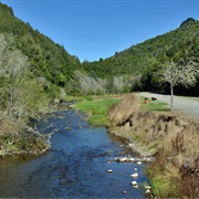 MANGAOKEWA RIVER TRACK