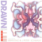 Brian Eno & J. Peter Schwalm: Drawn From Life