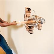 Destruction (Demolition)