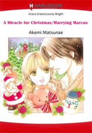 A Miracle for Christmas (Akemi Matsunae)