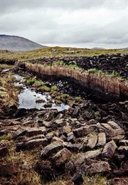 Bogland (Seamus Heaney)