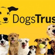 Dogs Trust