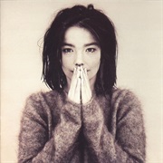 Björk - Debut