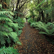 Stewart Island, New Zealand