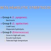 Group B Strep Awareness Month (July)