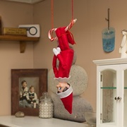 Elf on the Shelf (A Christmas Tradition)