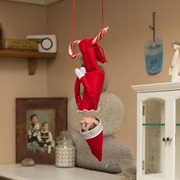 Posing Elf on the Shelf