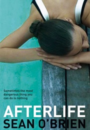 Afterlife (Sean O&#39;Brien)