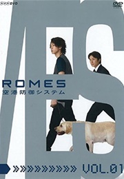 ROMES (2009)