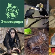 Moscow Rio Exotarium