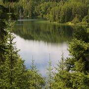 Ivanhoe Lake Provincial Park