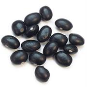Tolosa Bean
