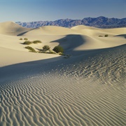 Great Basin Desert, Nevada
