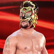 Lince Dorado