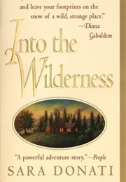 Into the Wilderness (Sara Donati)