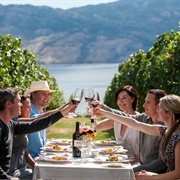 Wine Tasting in the Okanagan