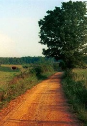 Georgia Ghosts: They Are Among Us (Ian Alan)