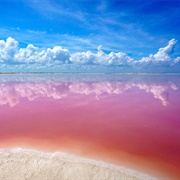 Las Coloradas, Mexico