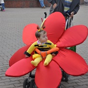 Bee Pollinating Flower Baby Carriage