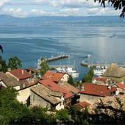 Leman