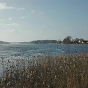 Drawno National Park