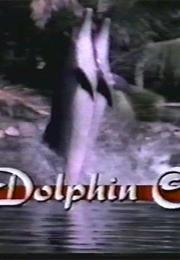 Dolphin Cove (TV Series)