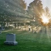 Revisit My Dad's Grave