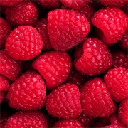 Red Raspberry (Rubus Idaeus)