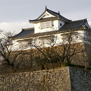 Tsuyama Castle