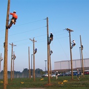 Climbed Telephone Poles Using Gaffs