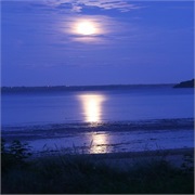 Sex on the Beach Under the Light of a Full Moon