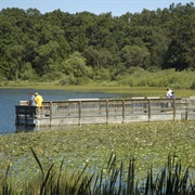 Yankee Springs State Recreation Area, Michigan