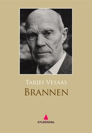 Brannen (Terje Vesaas)