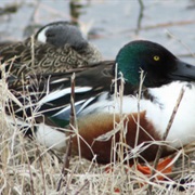 Waubay National Wildlife Refuge