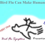 Asian Bird Flu