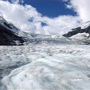 Ice Field
