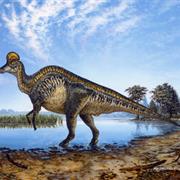 Corythosaurus