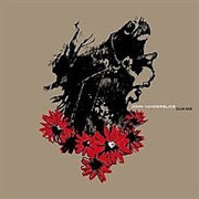 John Vanderslice - Cellar Door