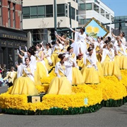 Daffodil Parade