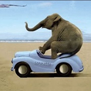 Elephant Driving