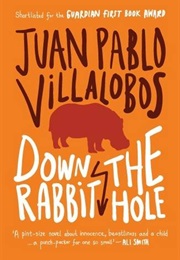 Down the Rabbit Hole (Juan Pablo Villalobos)