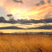 Occoquan Bay National Wildlife Refuge