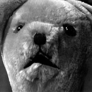 Mr. Teddy Bear