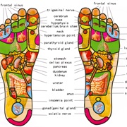 Reflexology
