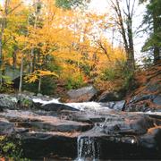 Arrowhead Provincial Park